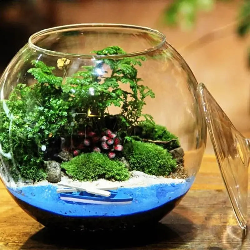 Glass Moss Ball Terrarium