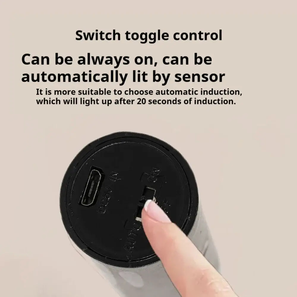 Black Motion Sensor Sconce