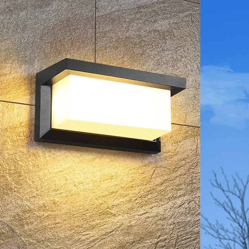 Black Frosted Glass Outdoor Light