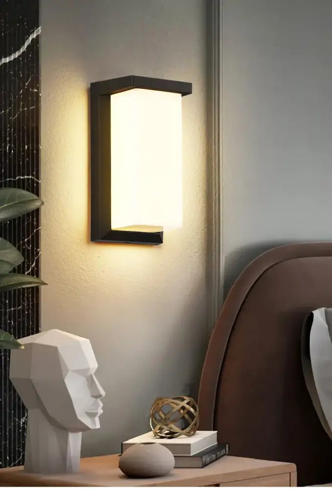 Black Frosted Glass Outdoor Light