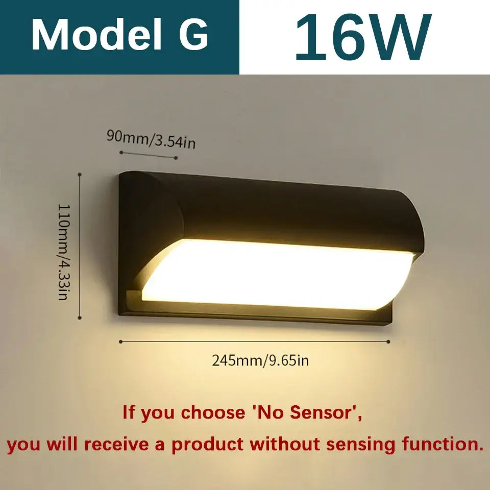 Black Frosted Glass Outdoor Light