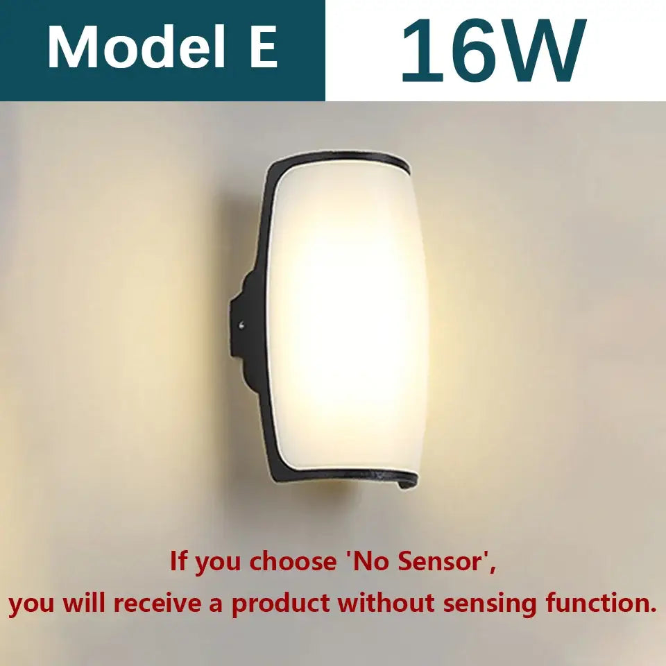 Black Frosted Glass Outdoor Light