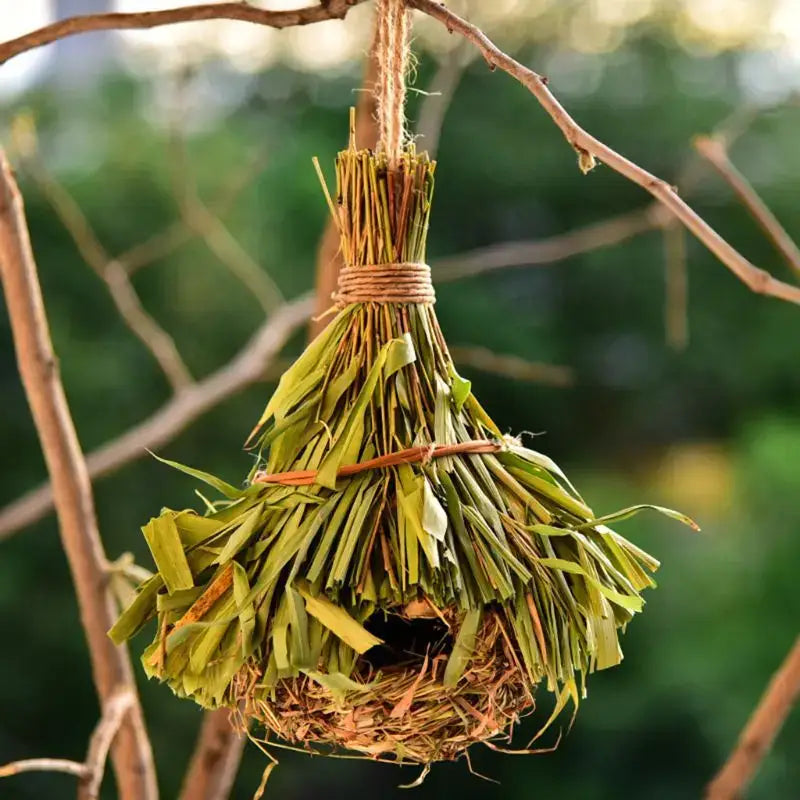Natural Grass Bird Cage