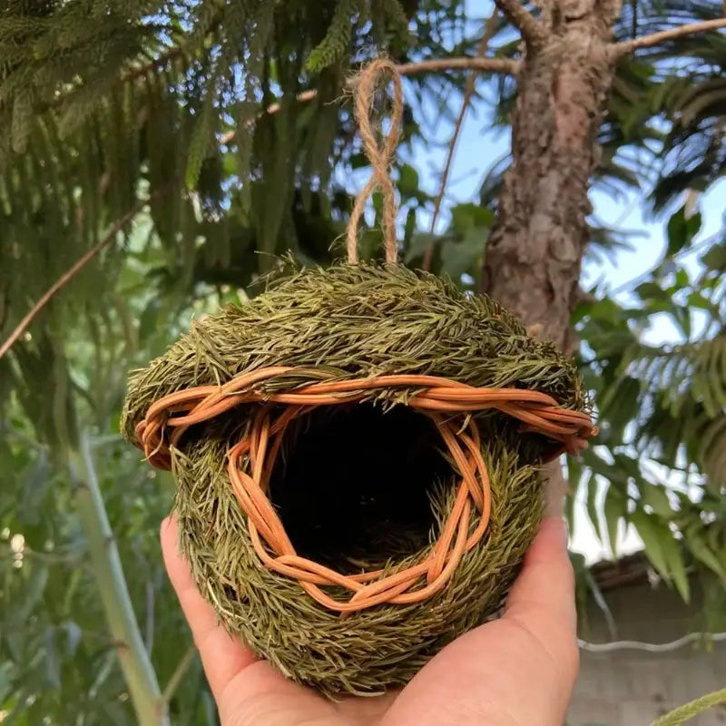 Natural Grass Bird Cage