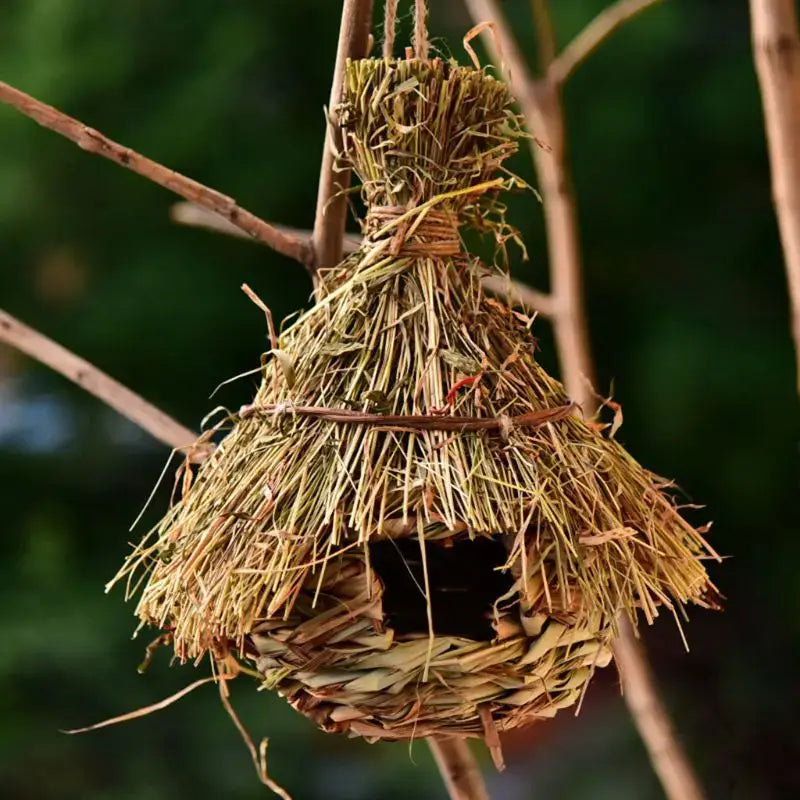 Natural Grass Bird Nest