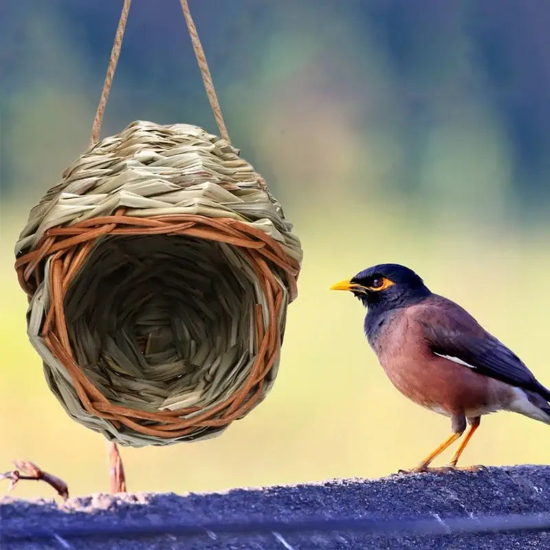 Natural Grass Bird Nest