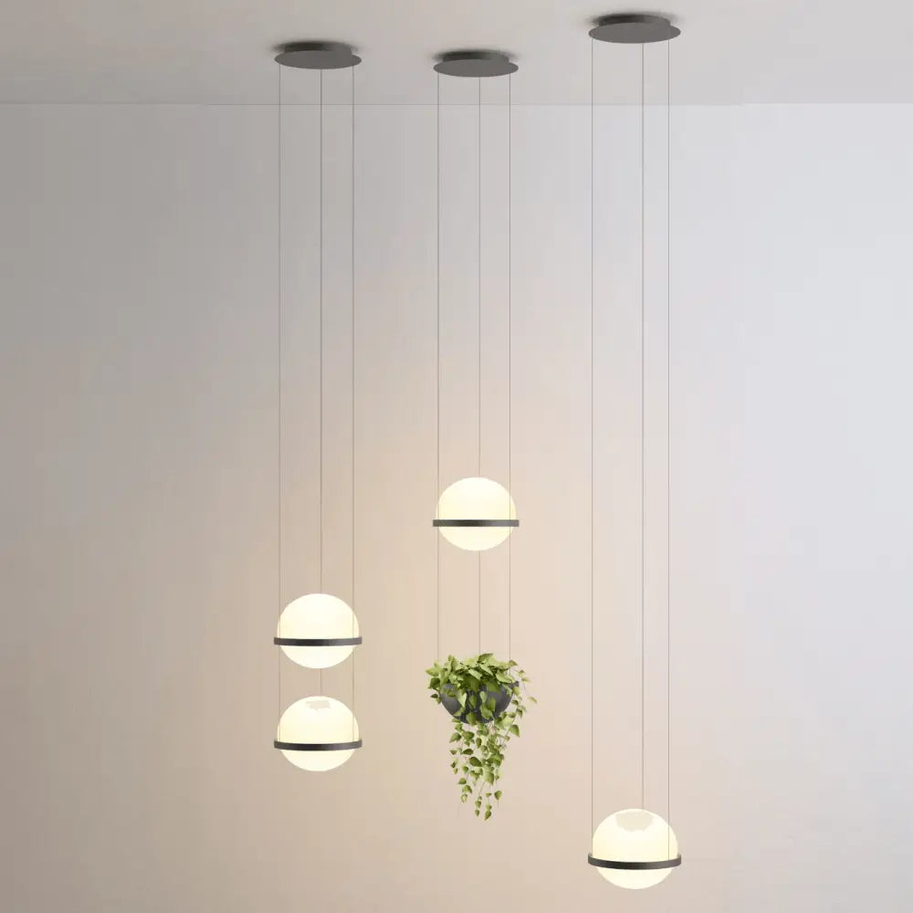 Black Frosted Glass Planter Pendant Light