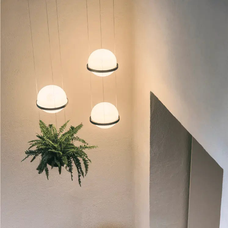 Black Frosted Glass Planter Pendant Light