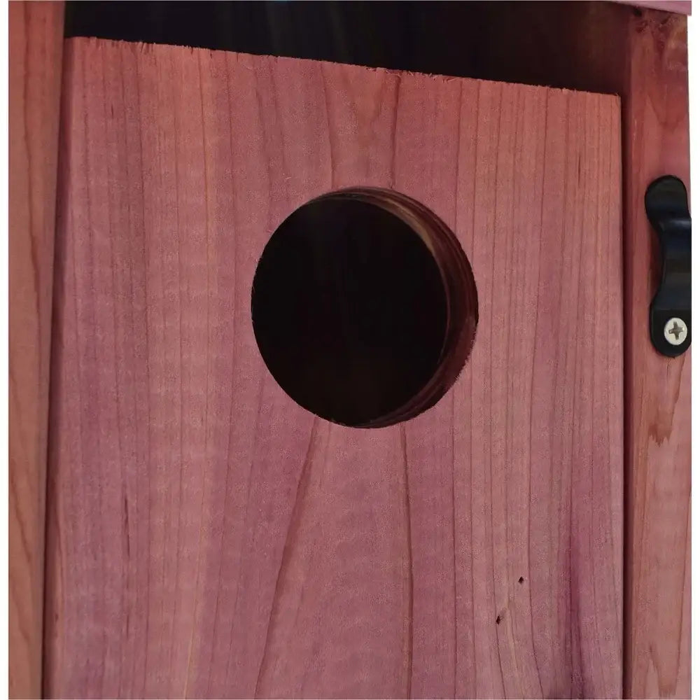 Cedar Bluebird Nesting Box
