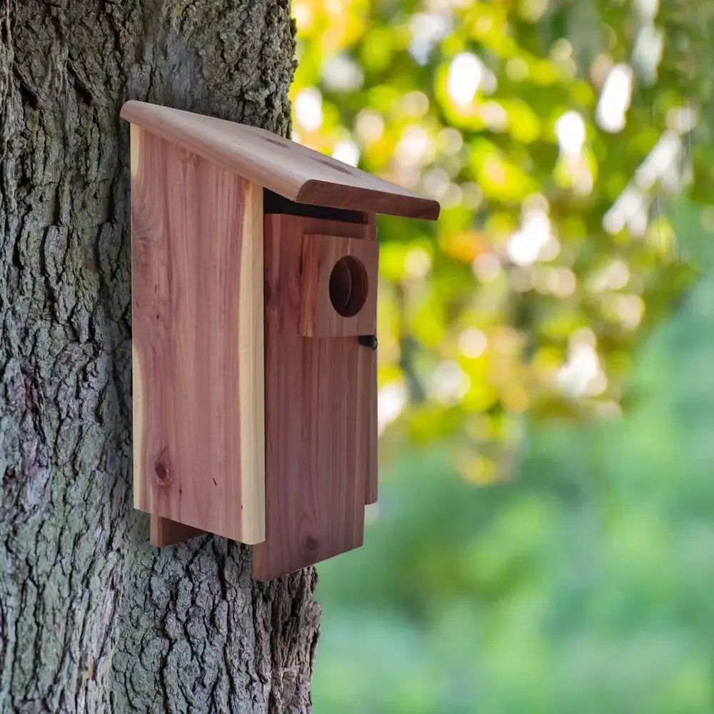 Cedar Bluebird Nesting Box