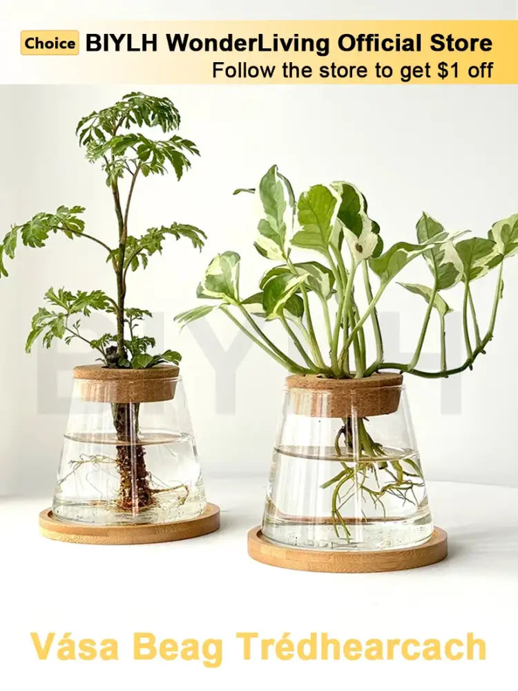 Glass Bamboo Base Vase