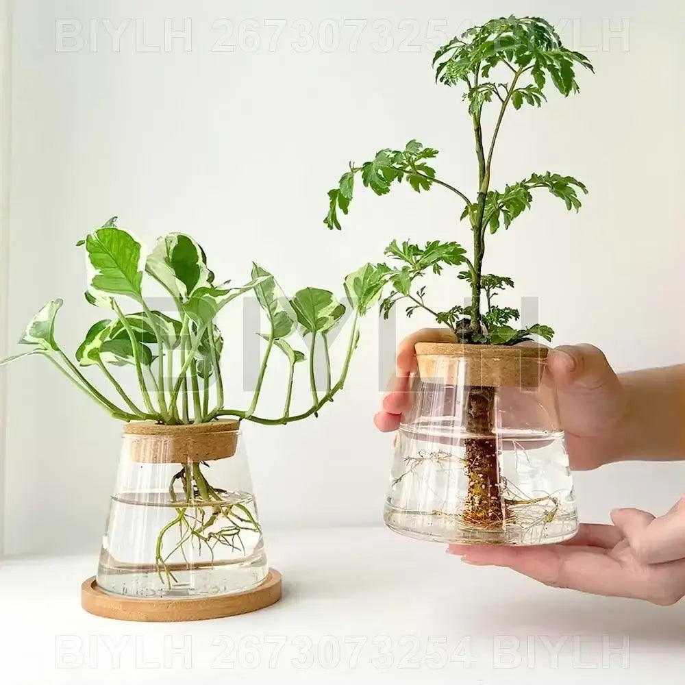 Glass Bamboo Base Vase