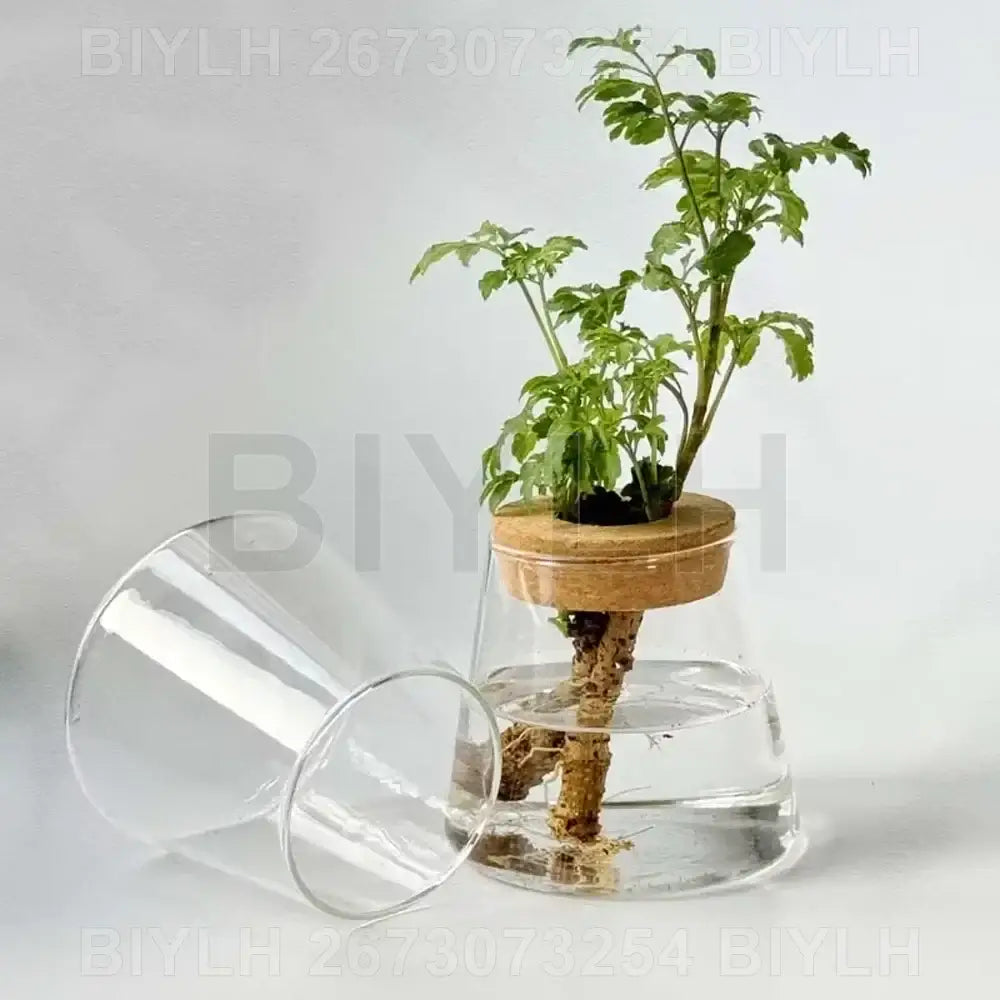 Glass Bamboo Base Vase