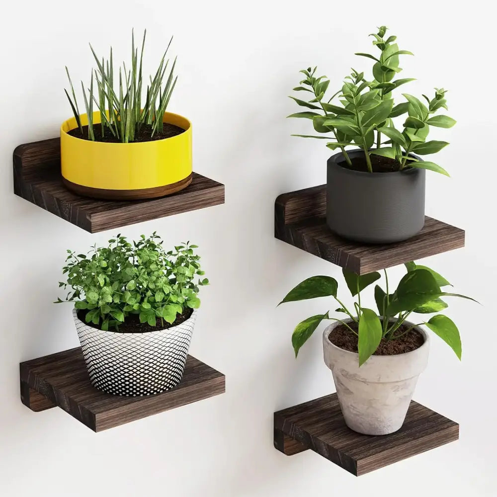 Wood Floating Shelf Set