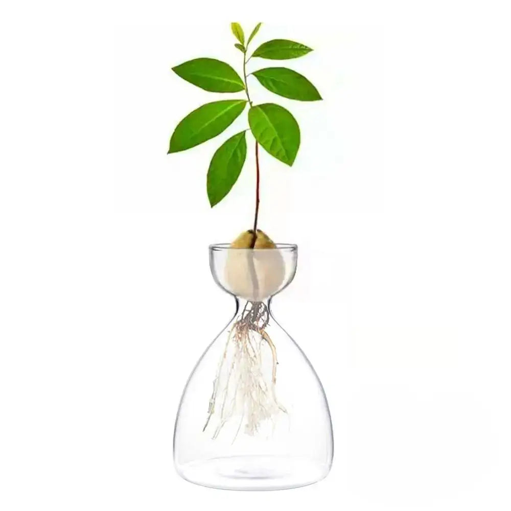 Transparent Glass Trio Vases