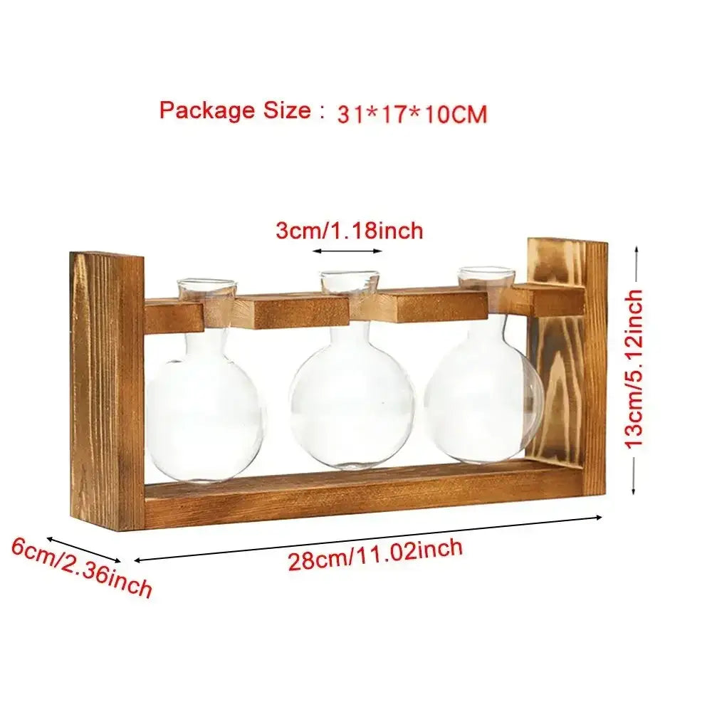 Transparent Glass Trio Vases