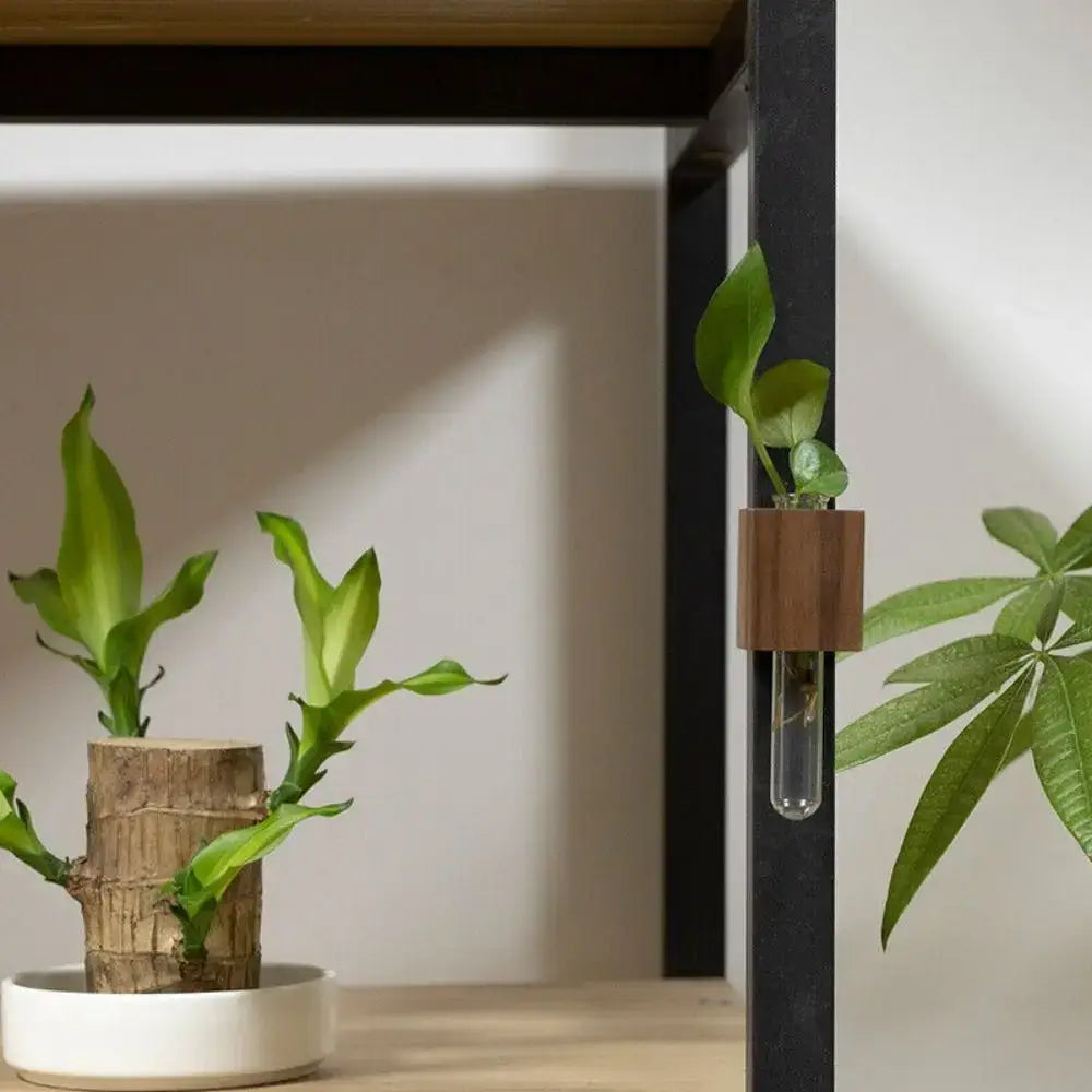 Dark Wood Test Tube Vase