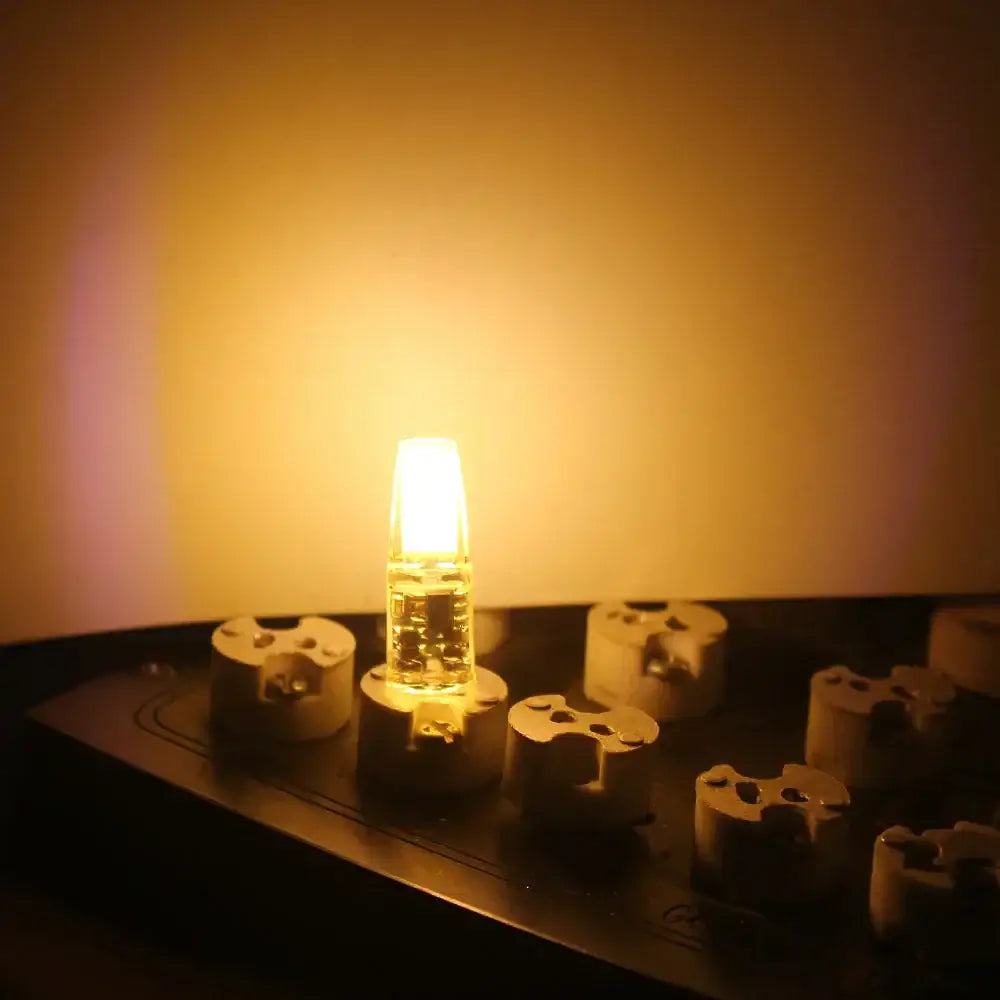 Clear Glass LED Bulb 12V or 220V Option