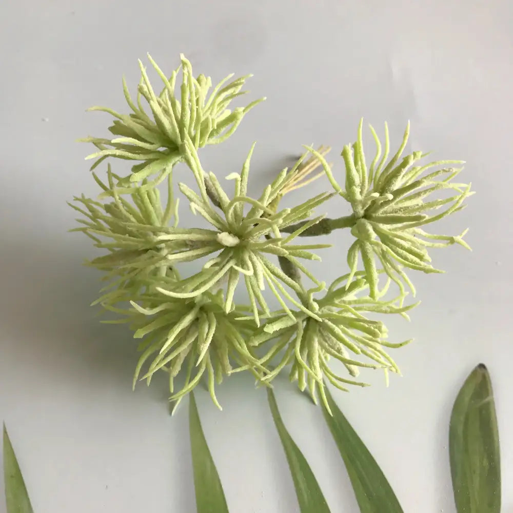 Greenery Berry Stamen Bundle