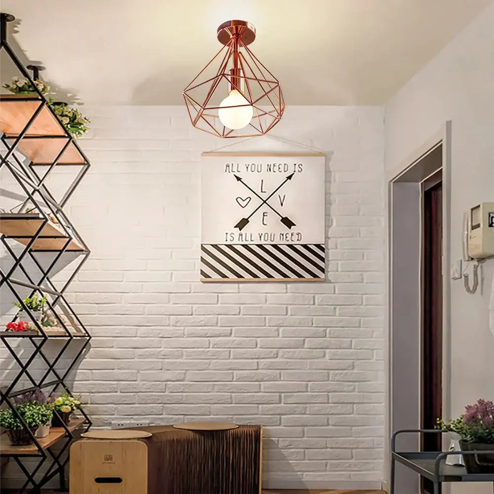 Iron Cage Ceiling Light