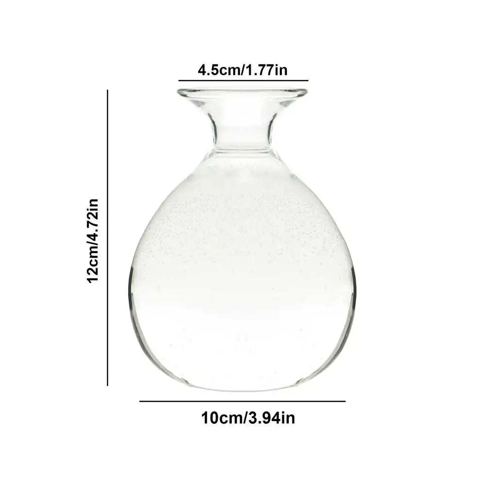 Clear Glass Hydroponic Vase