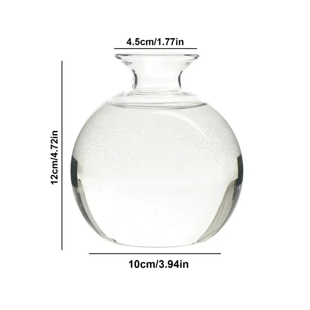 Clear Glass Hydroponic Vase