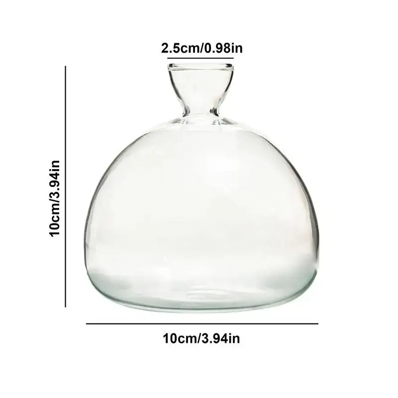 Clear Glass Hydroponic Vase
