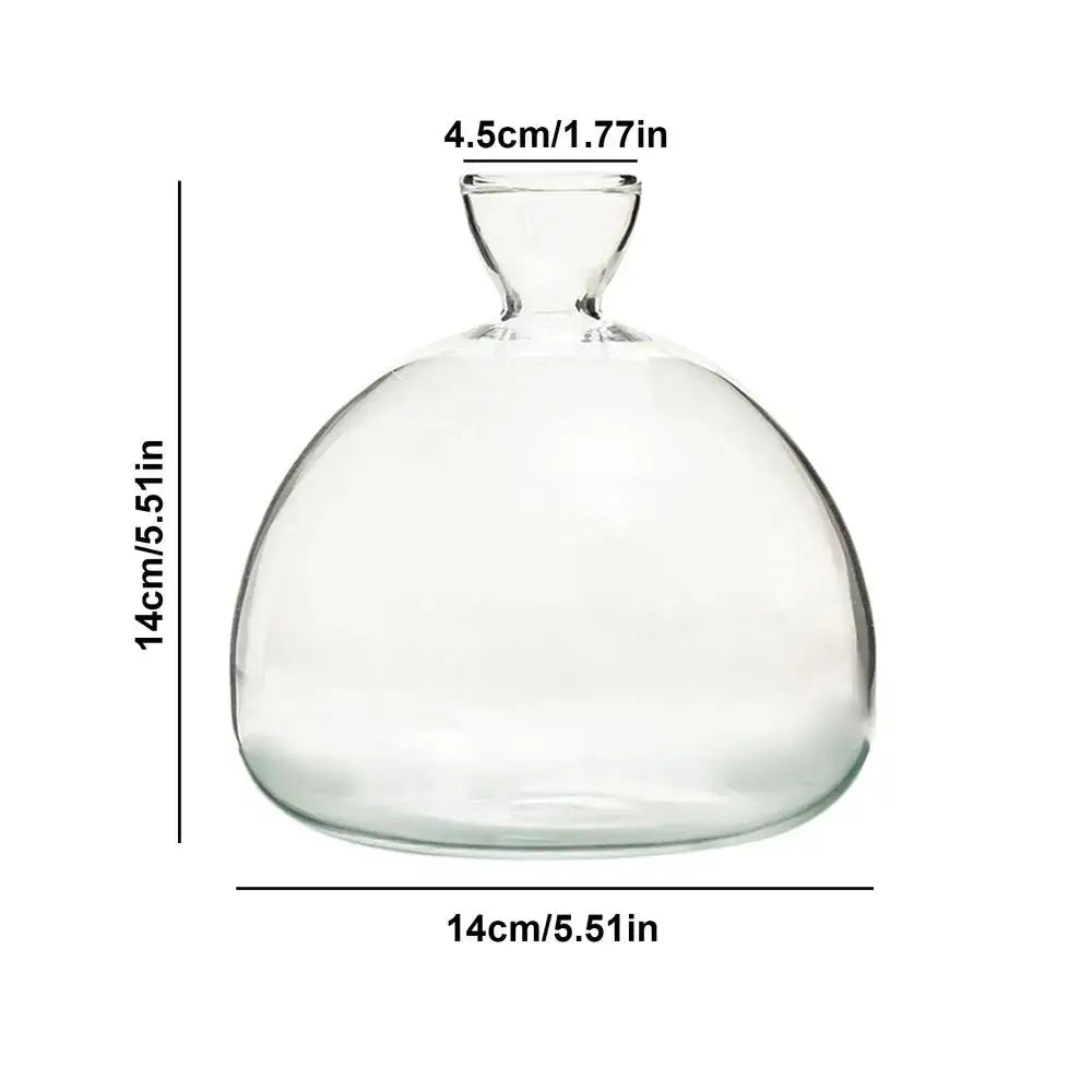 Clear Glass Hydroponic Vase