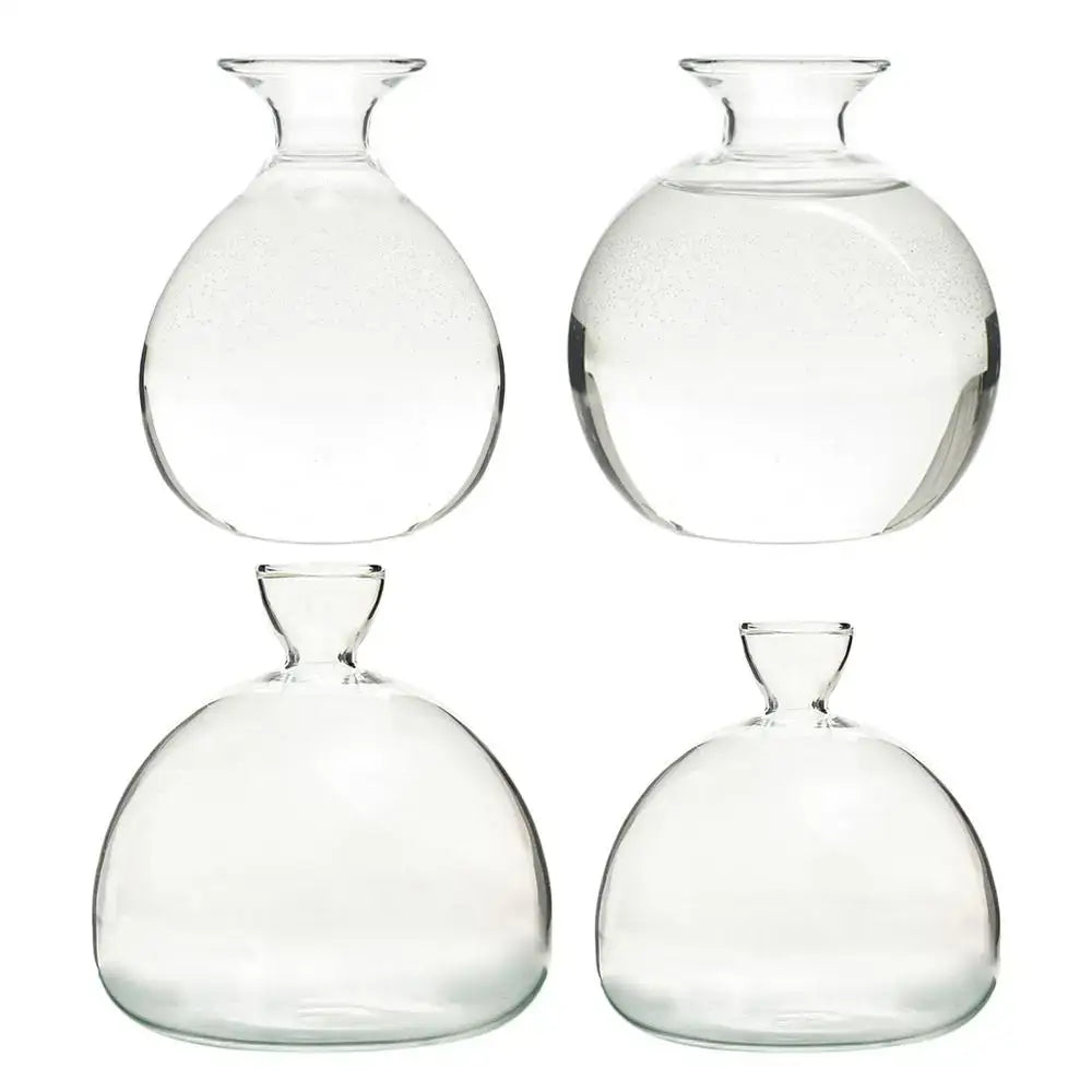 Clear Glass Hydroponic Vase