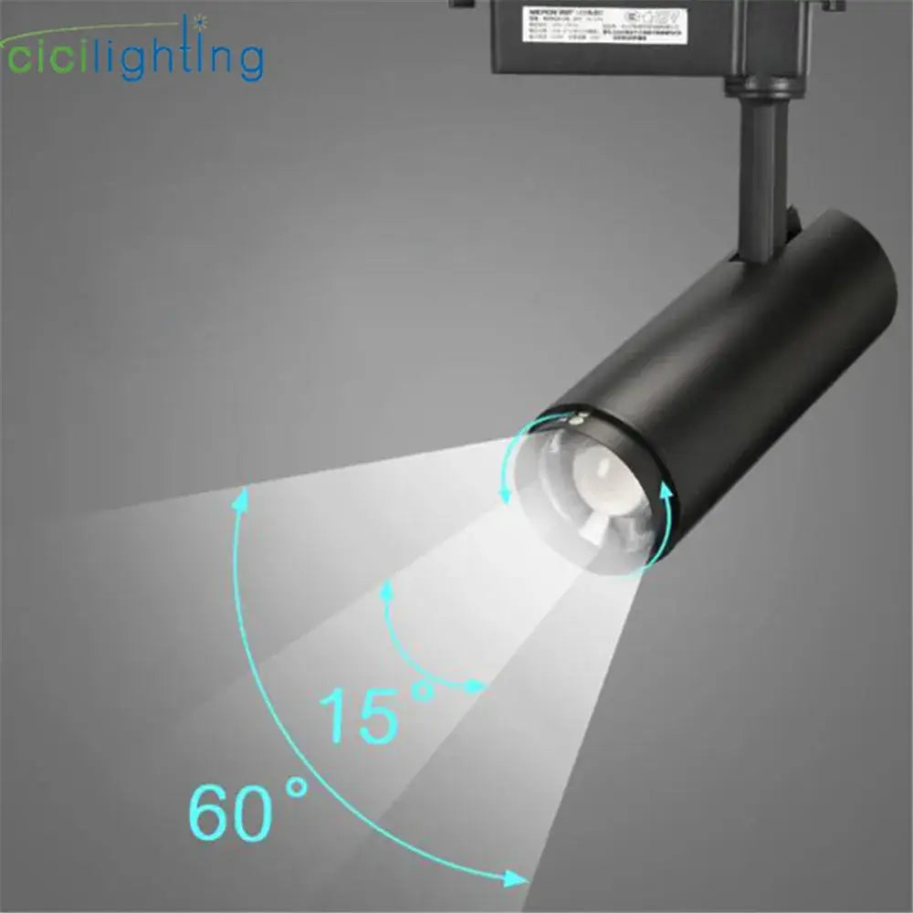 Black Adjustable Track Spotlight