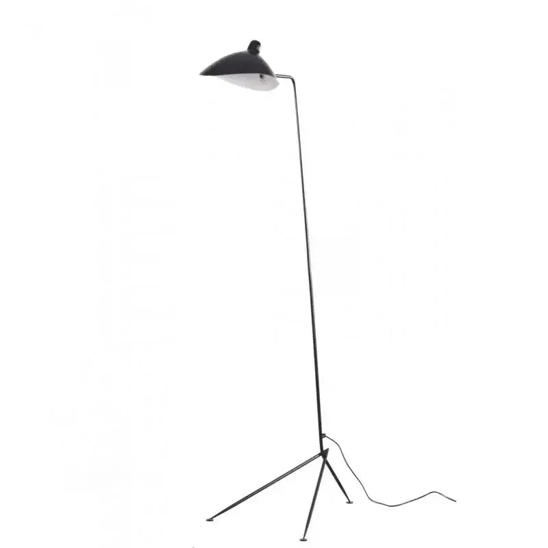 Black Spider Arm Floor Lamp