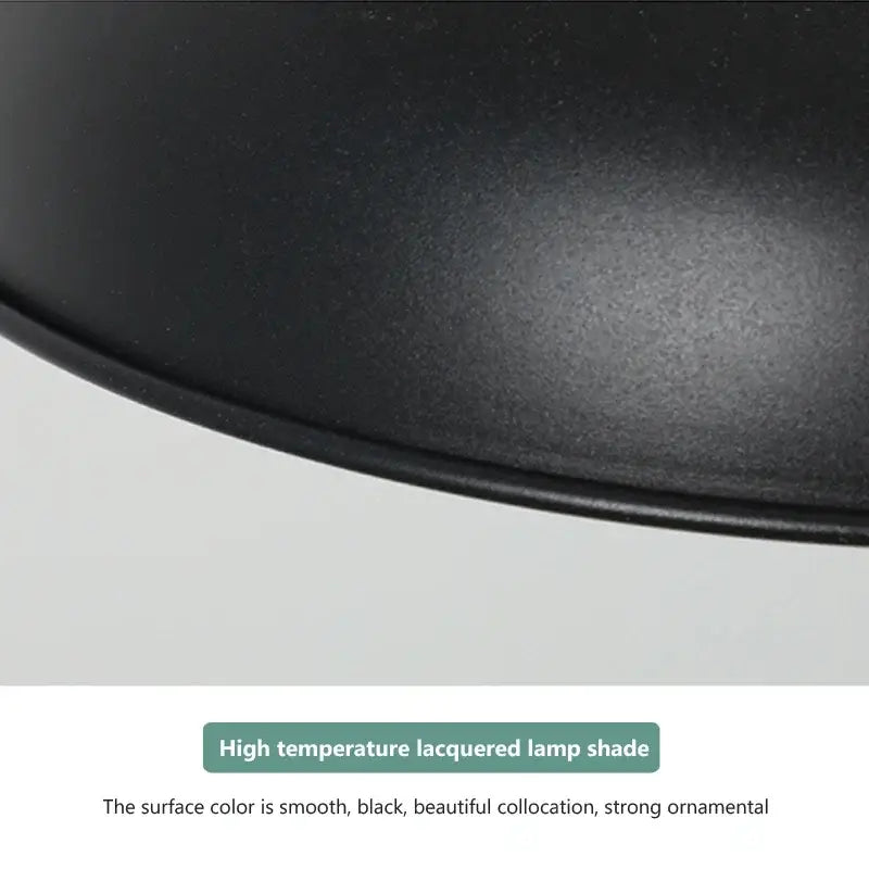 Black Heating Pendant Light