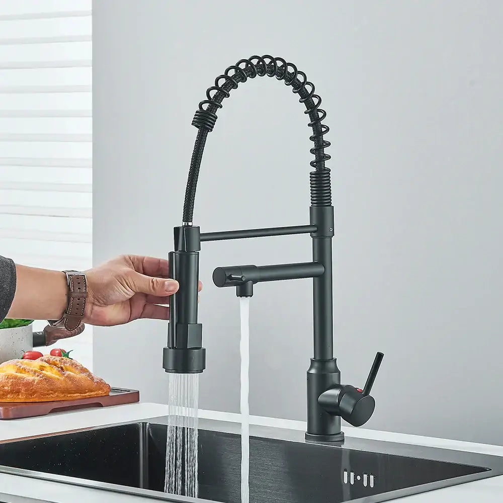 Black Brass Dual Spout Faucet for Kitchens