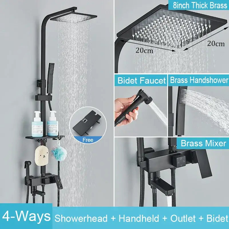 Black Brass Shower Set