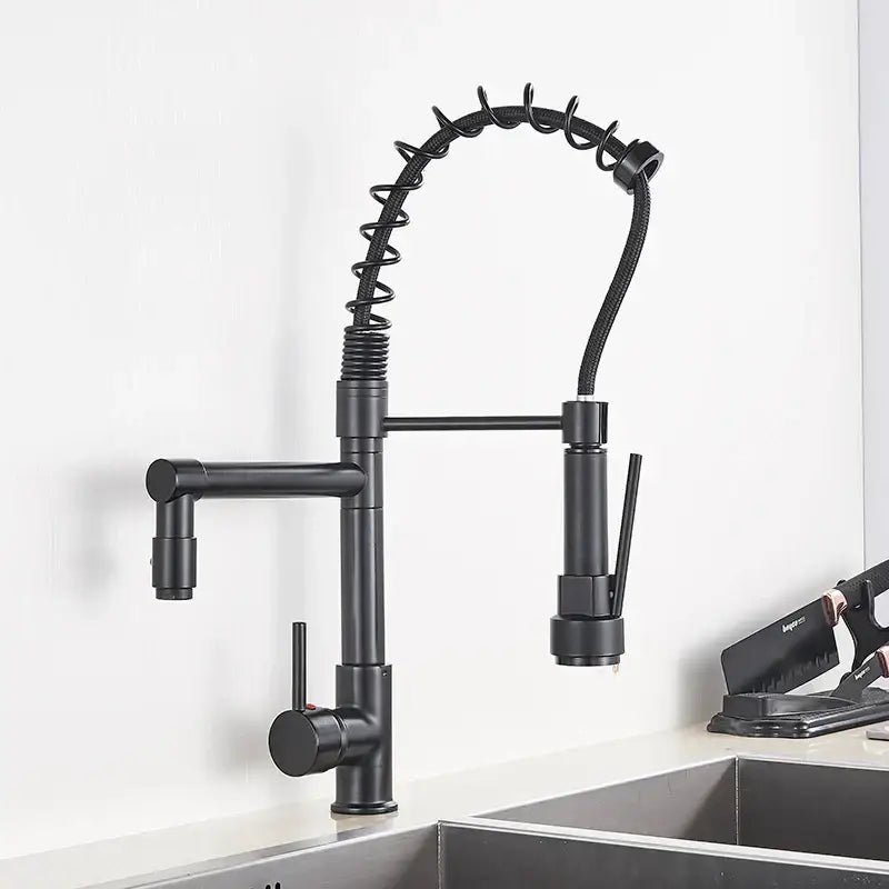 Black Brass Kitchen Faucet with Swivel Spout