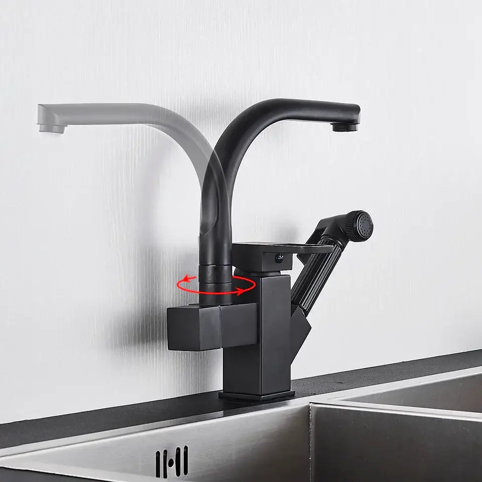 Matte Black Dual Faucet