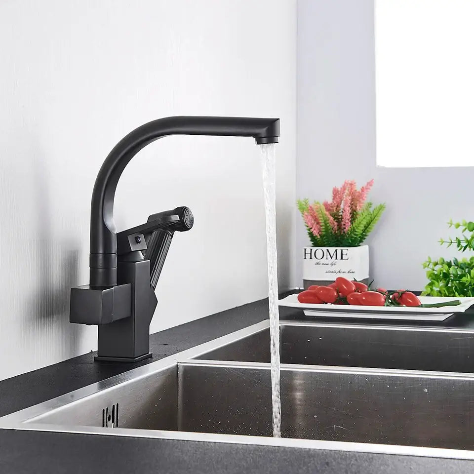 Matte Black Dual Faucet