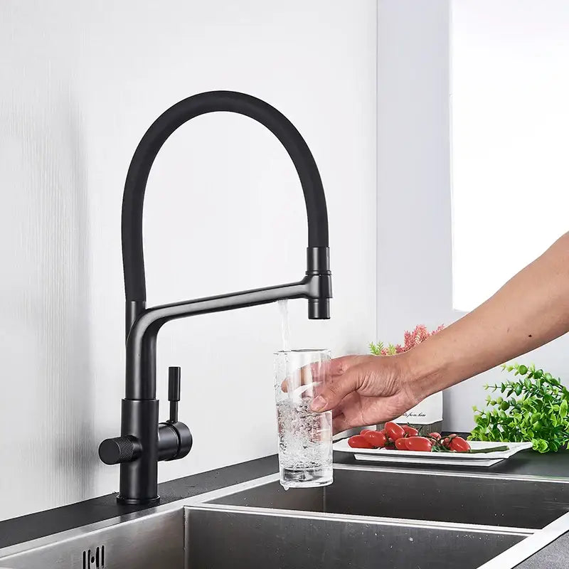 Black 360° Filter Faucet