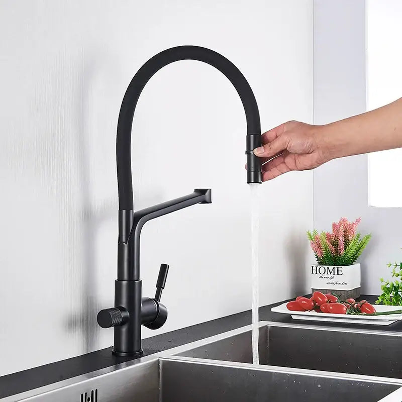 Black 360° Filter Faucet