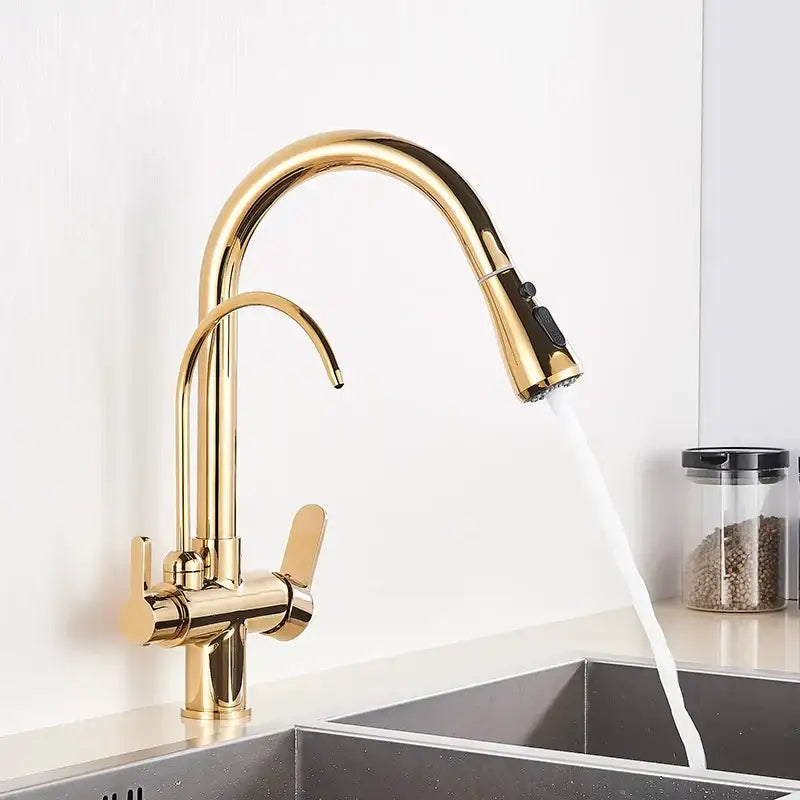 Black 360° Filter Faucet