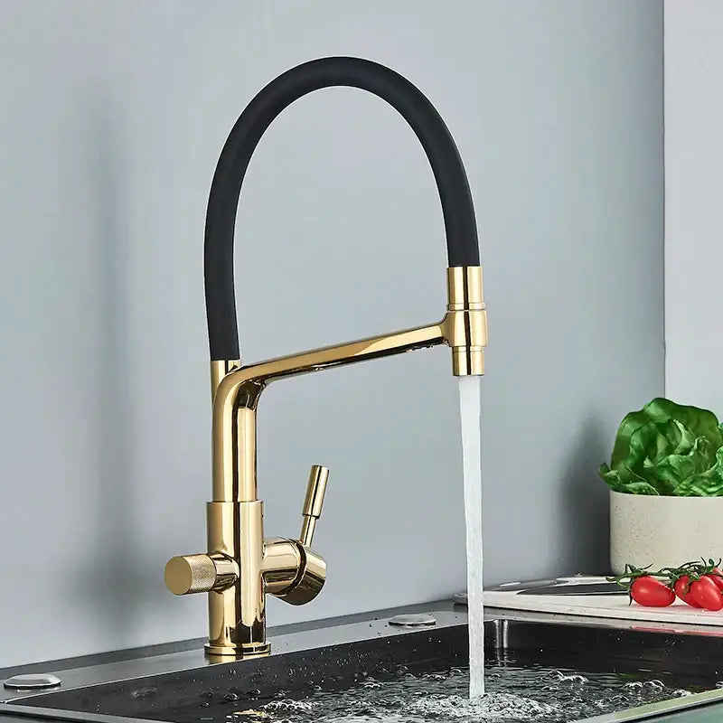 Black 360° Filter Faucet