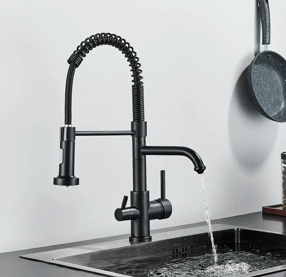 Black Gooseneck Filter Faucet