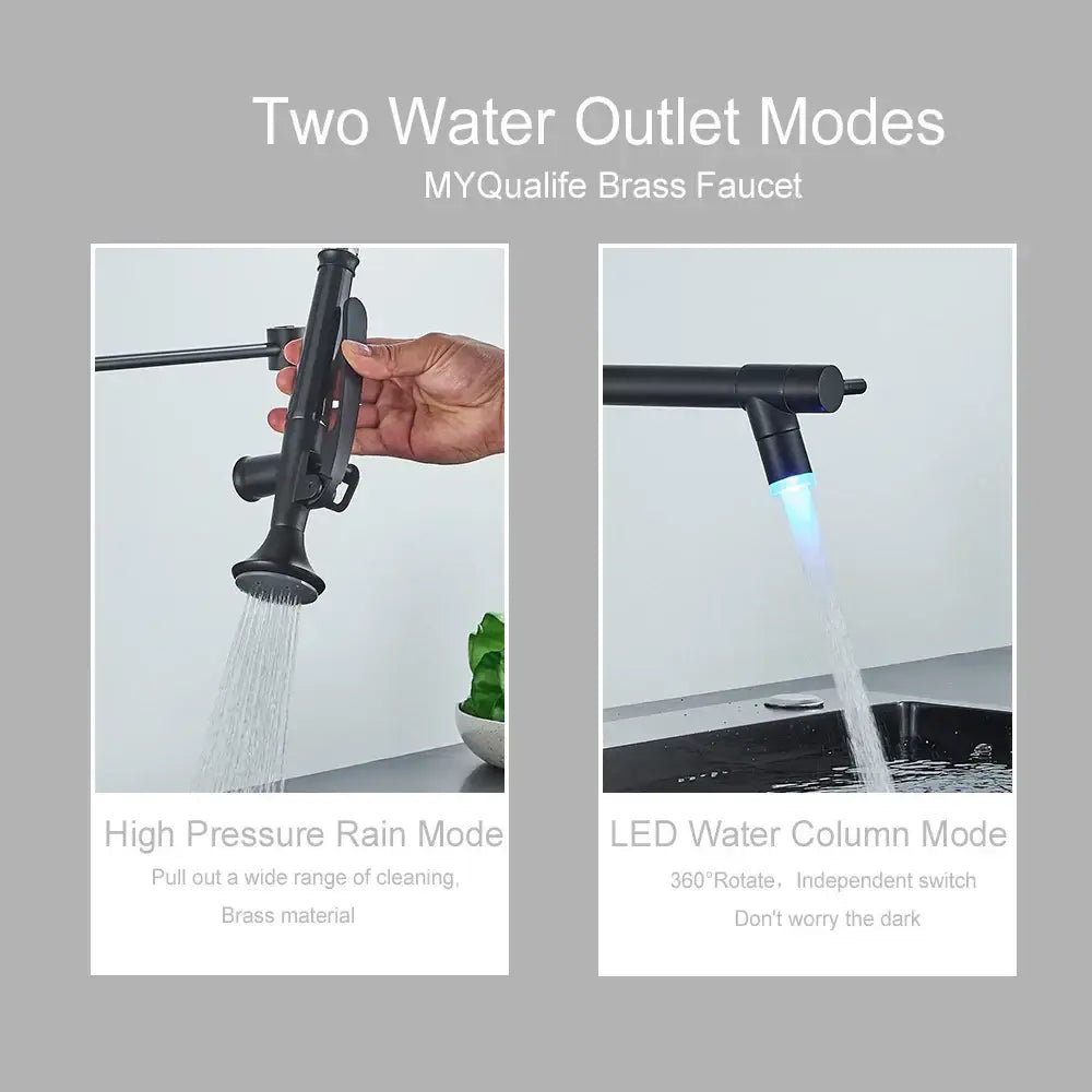 Black LED Dual Faucet