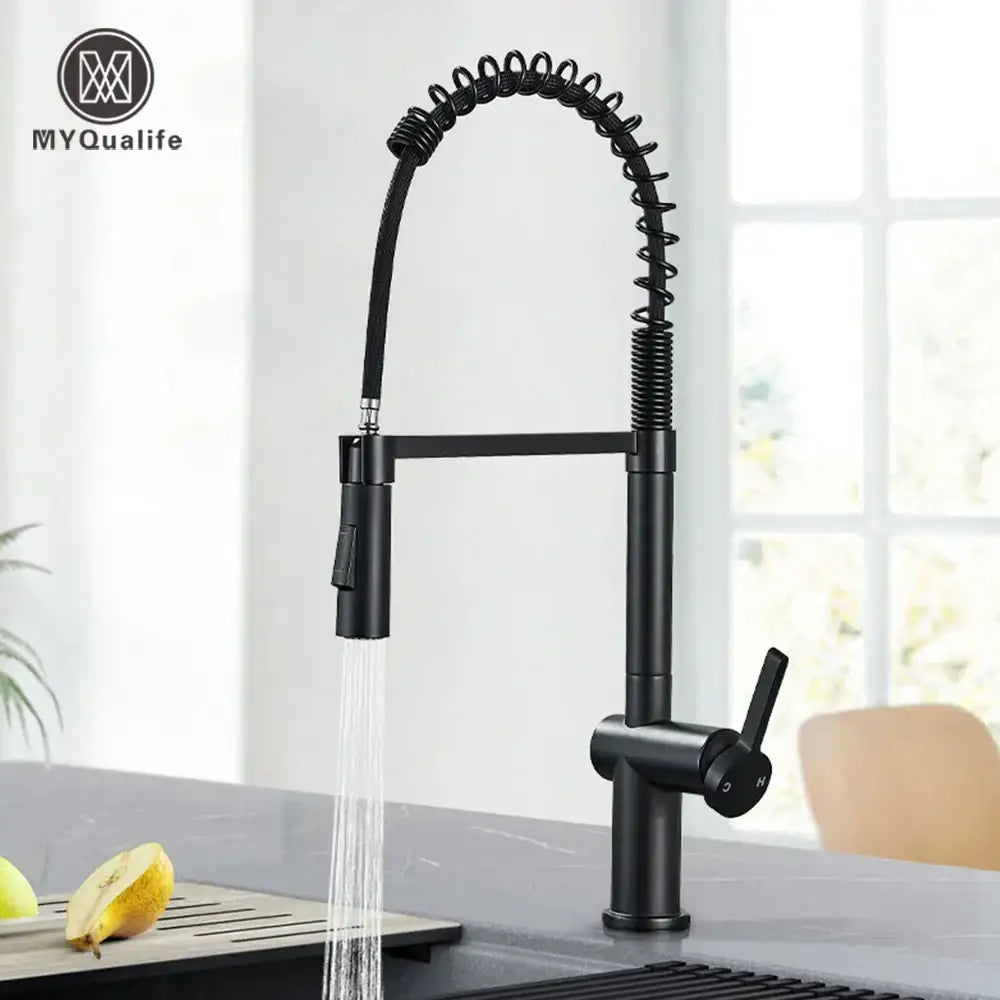 Matte Black Spring Faucet