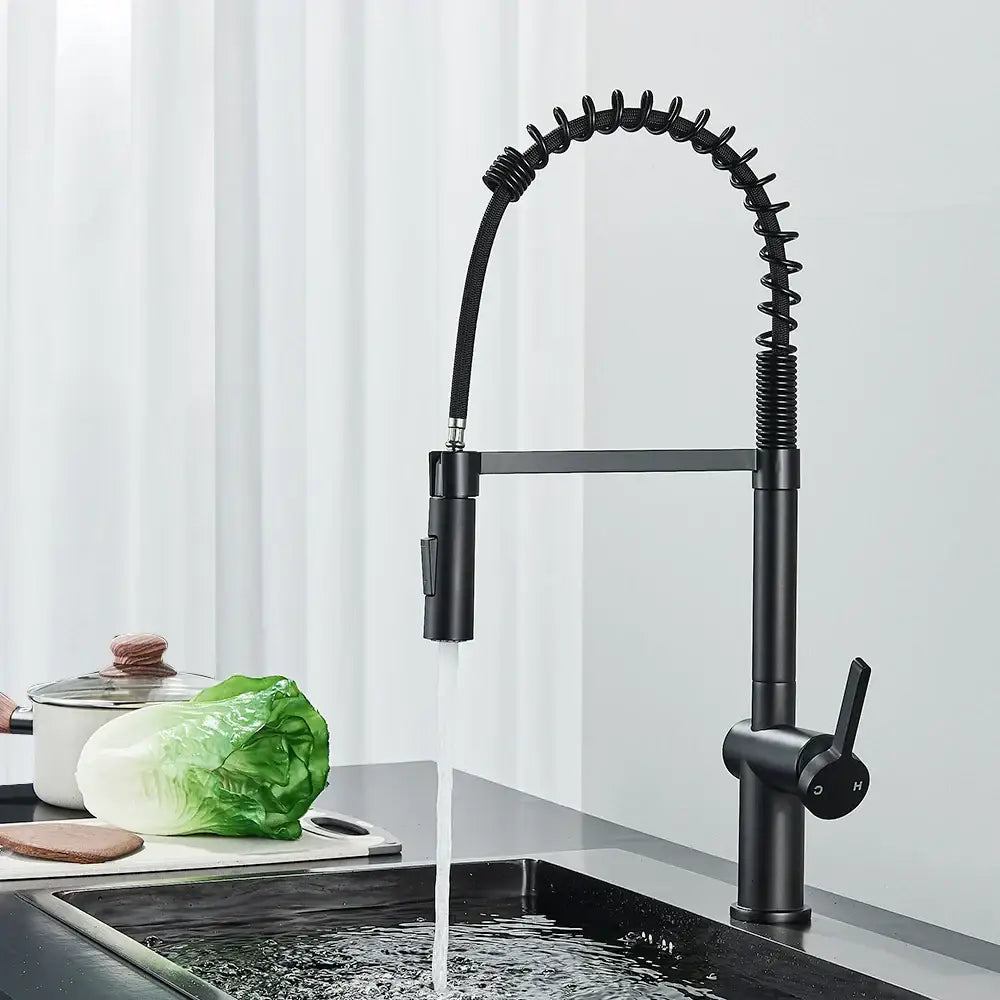 Matte Black Spring Faucet