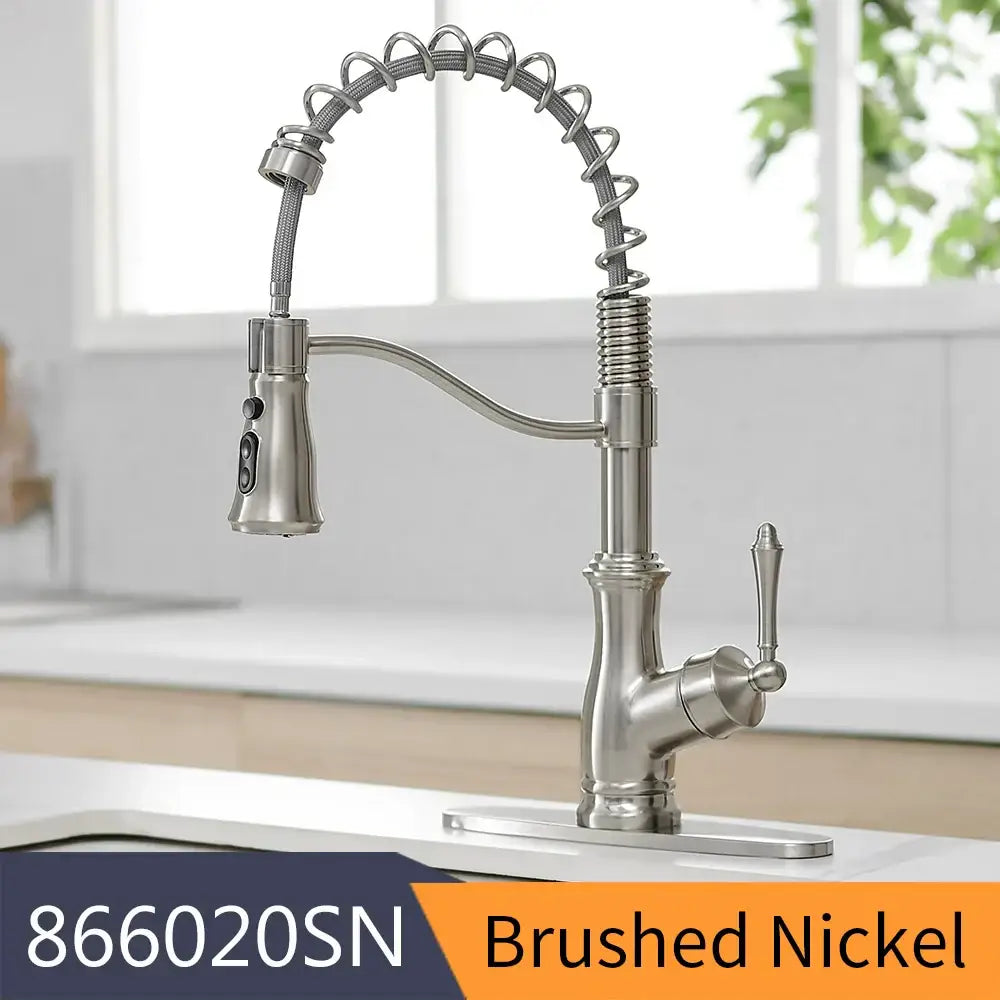 Black Spring Kitchen Faucet