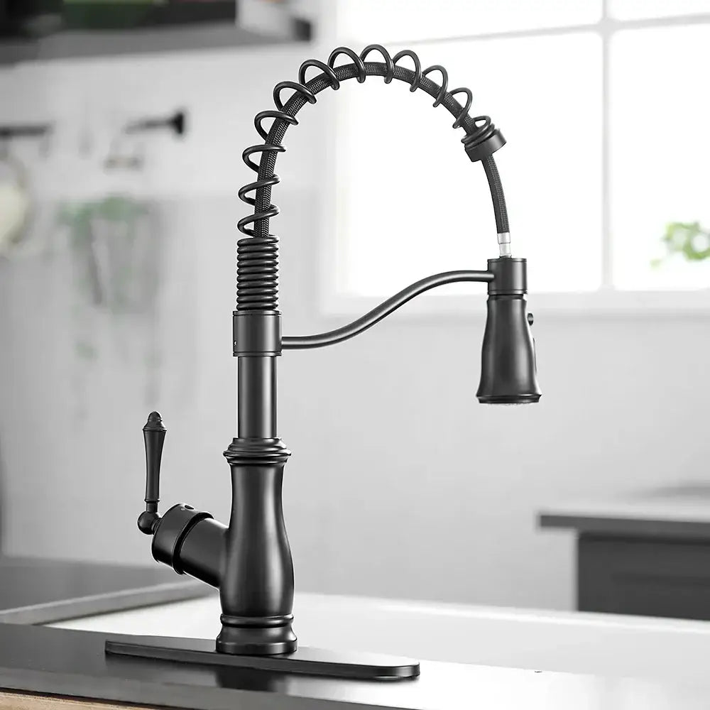 Black Spring Kitchen Faucet