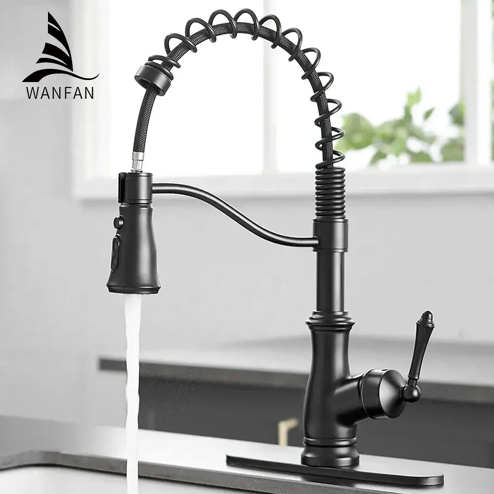 Black Spring Kitchen Faucet