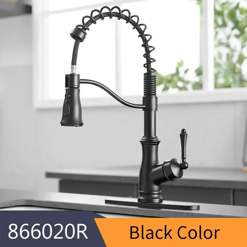 Black Spring Kitchen Faucet