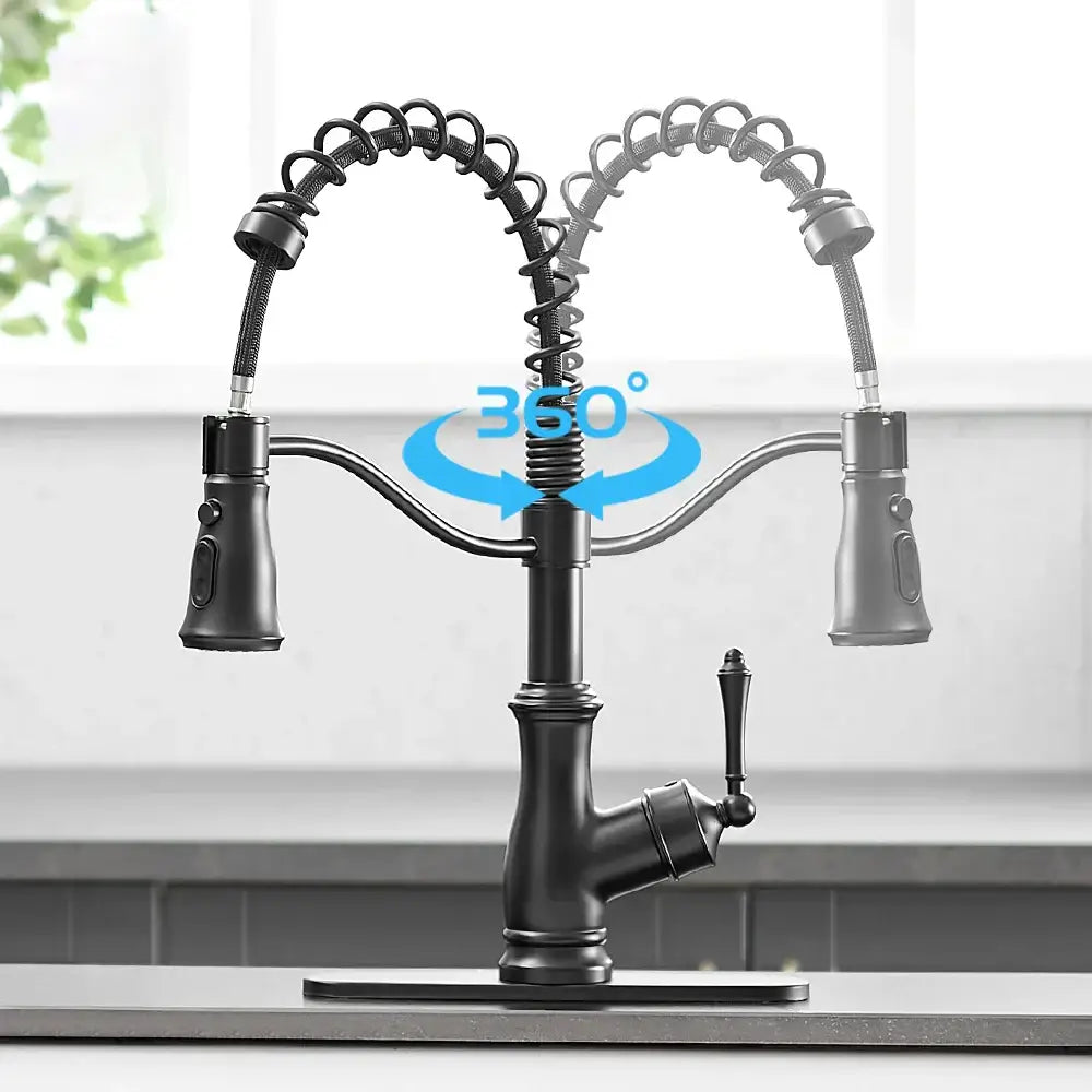 Black Spring Kitchen Faucet